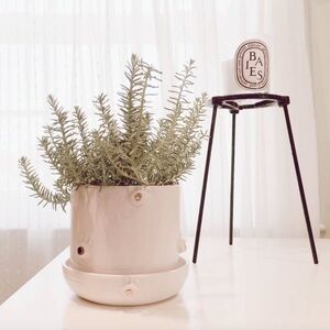 Helen Levi Cream Ceramic Golden eye Planter with Saucer